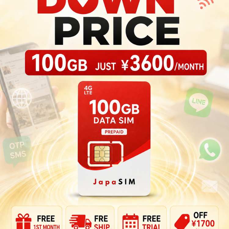 Down Price for 100GB + OTP SMS SIM card from Softbank